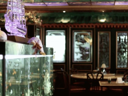 照片: Orchideen Palast