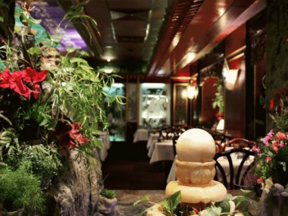 照片: Orchideen Palast